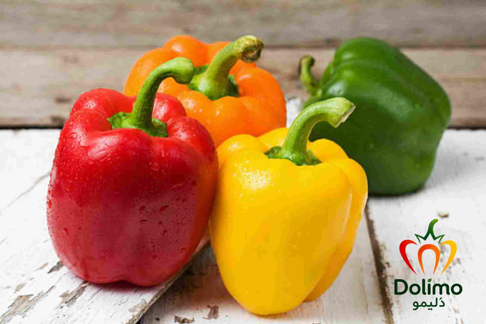 تأمین فلفل دلمه ای گلخانه ای با بار یکدست برای خریداران عمده