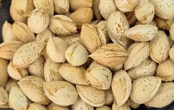 تصویر 5 از بادام منقا مرغوب خرید به صرفه