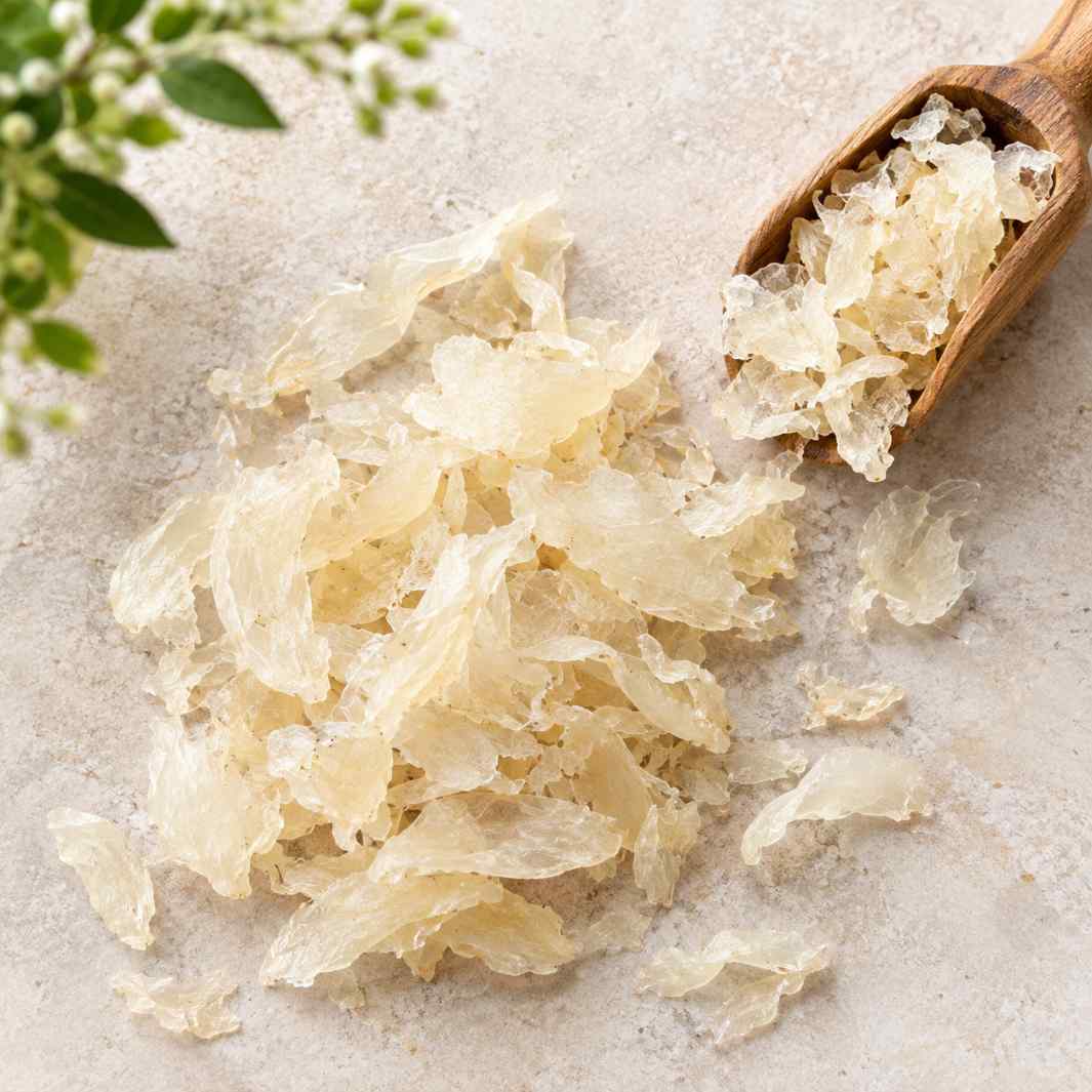 فروش کتیرا خشک