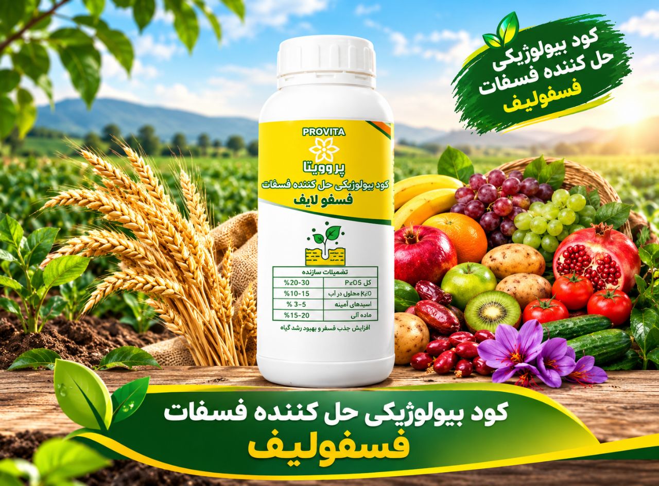 کود فسفر لایف قیمت رقابتی