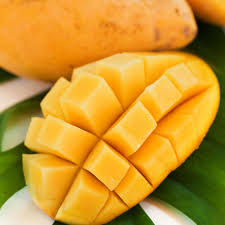 فروش شربت انبه