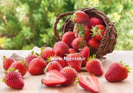 خرید توت فرنگی