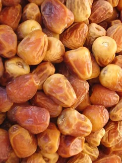 خرما زاهدی مشکین با طعم شیرین و بافت مناسب