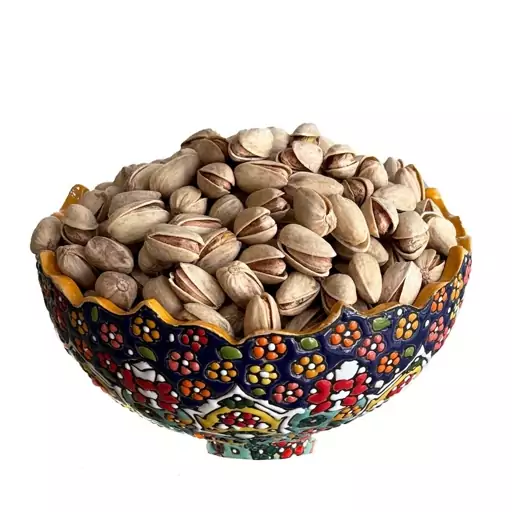 پسته اکبری دانه درشت + انتخابی چشمگیر برای بازارهای خاص + قیمت و خرید عمده