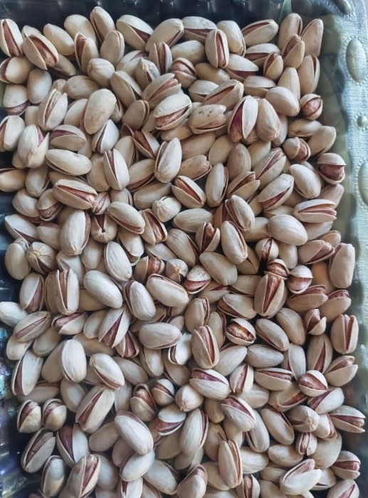 پسته اکبری شاه پسند صادراتی + انتخابی ویژه برای بازارهای بین المللی + قیمت و خرید عمده
