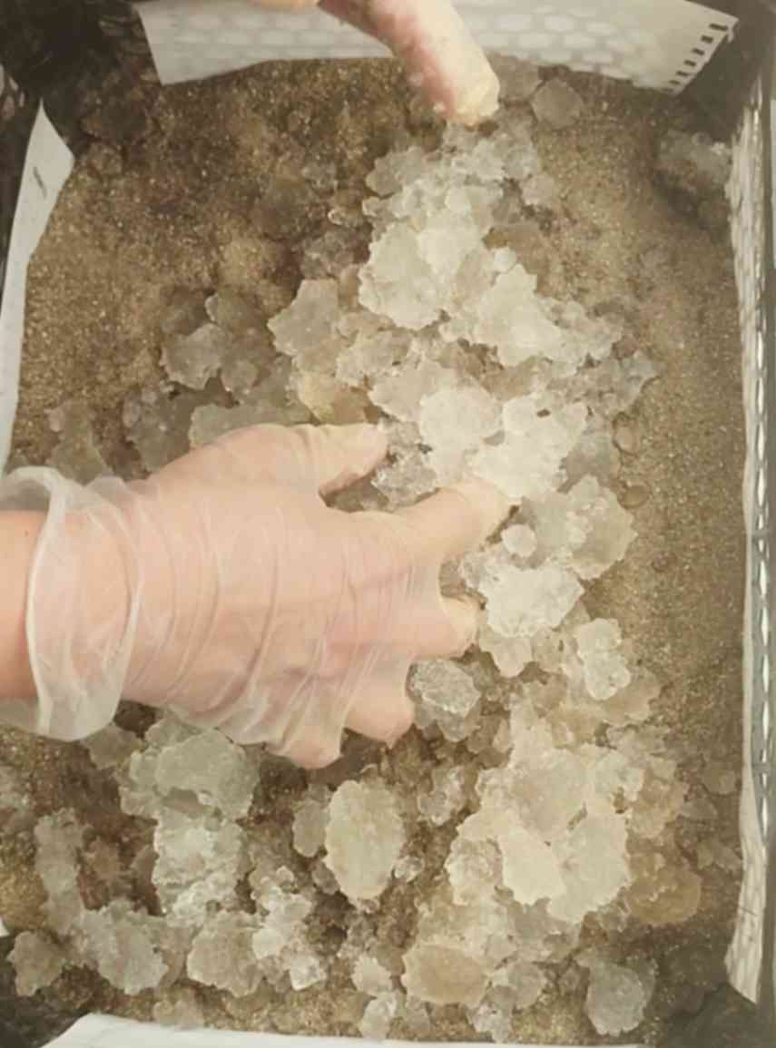 تصویر 1 از جاذب آب کشاورزی؛ کمک به مدیریت مصرف آب در مزارع و باغ‌ها