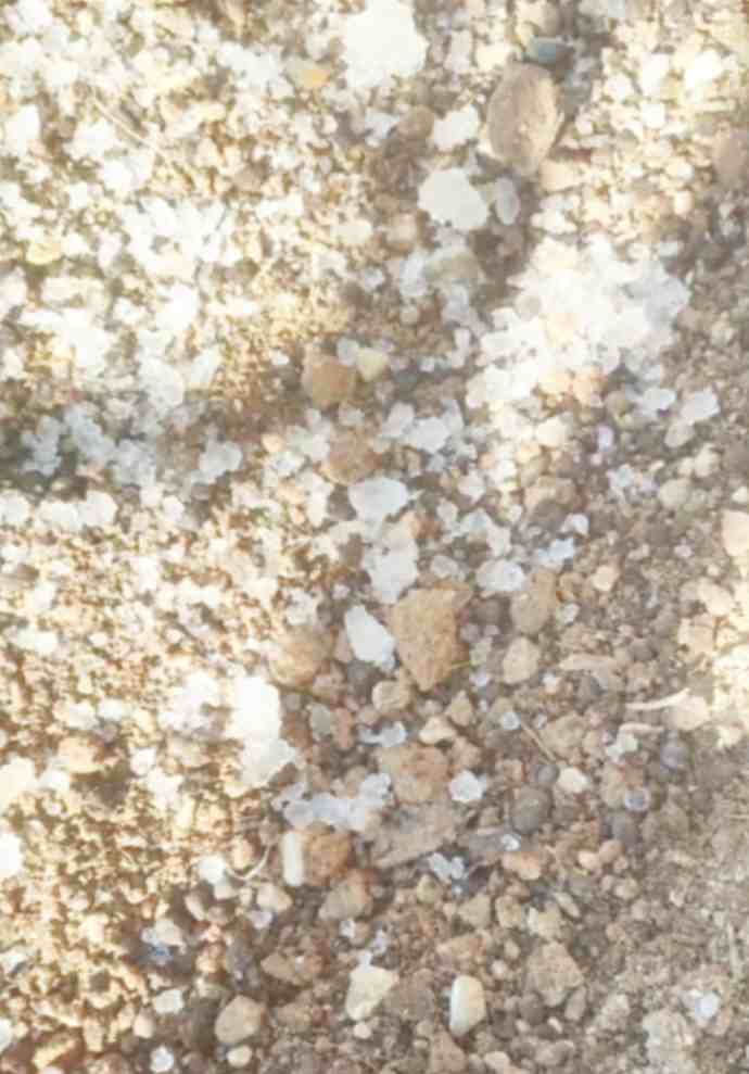 تصویر 3 از جاذب آب کشاورزی؛ کمک به مدیریت مصرف آب در مزارع و باغ‌ها