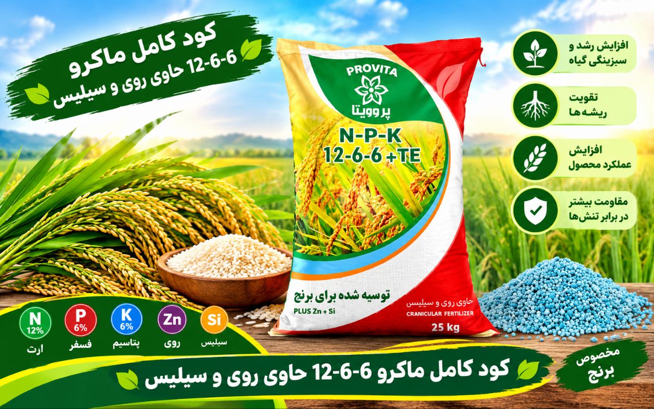 کود کامل ماکرو 1266 روی وسیلیس باقیمت رقابتی