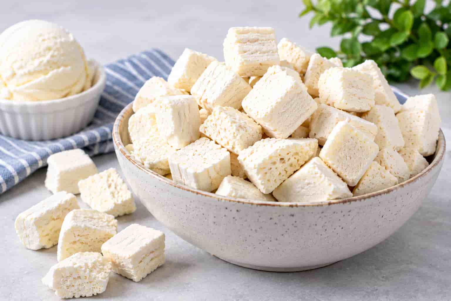 بستنی خشک ساده مرغوب برای بسته بندی و پخش