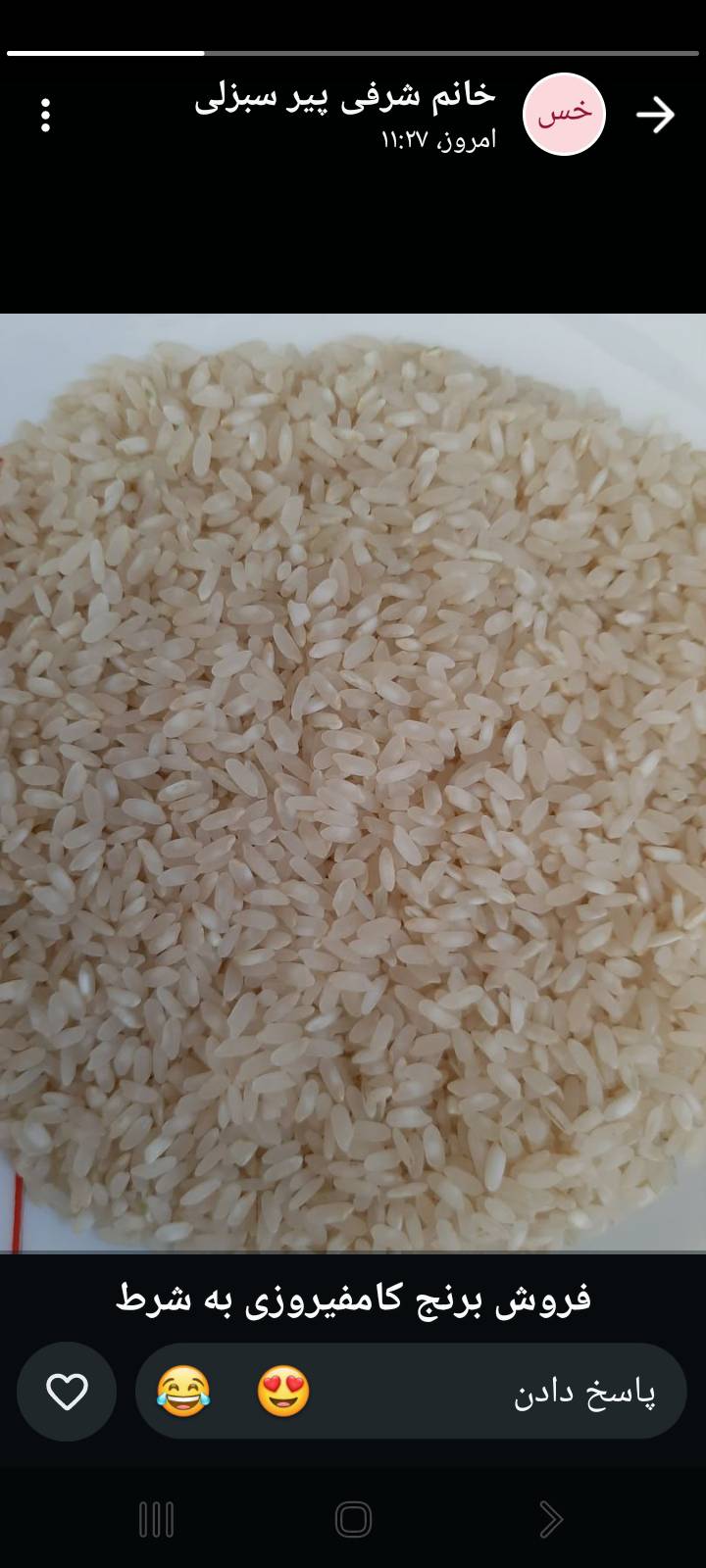 خرید برنج چمپا