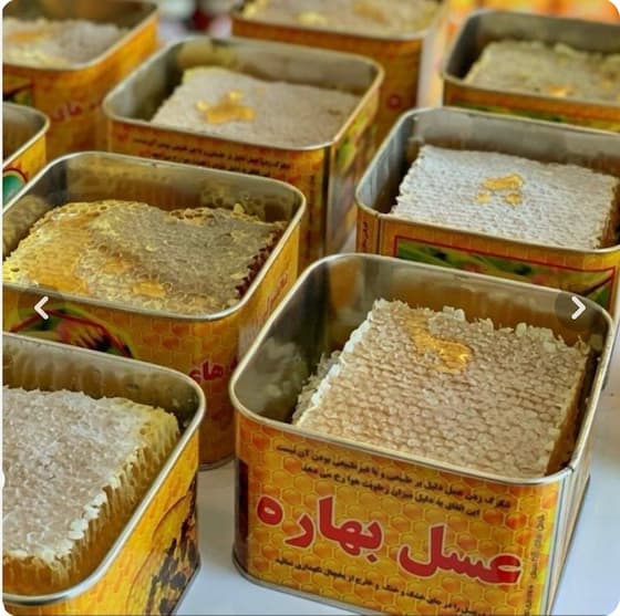 قیمت خرید عسل کوهی + فروش سریع