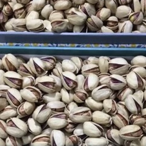 پسته کله قوچی سوپر درشت + انتخابی خاص برای بازارهای ممتاز + قیمت و خرید عمده