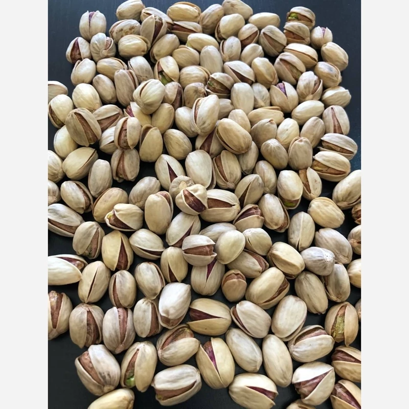 پسته کله قوچی دستچین + مناسب مشتریان سخت پسند + قیمت و خرید عمده