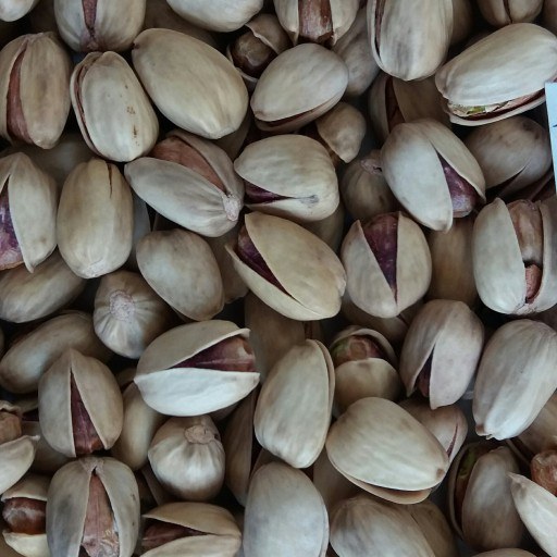 پسته کله قوچی خندان + محصولی جذاب برای فروش عمده