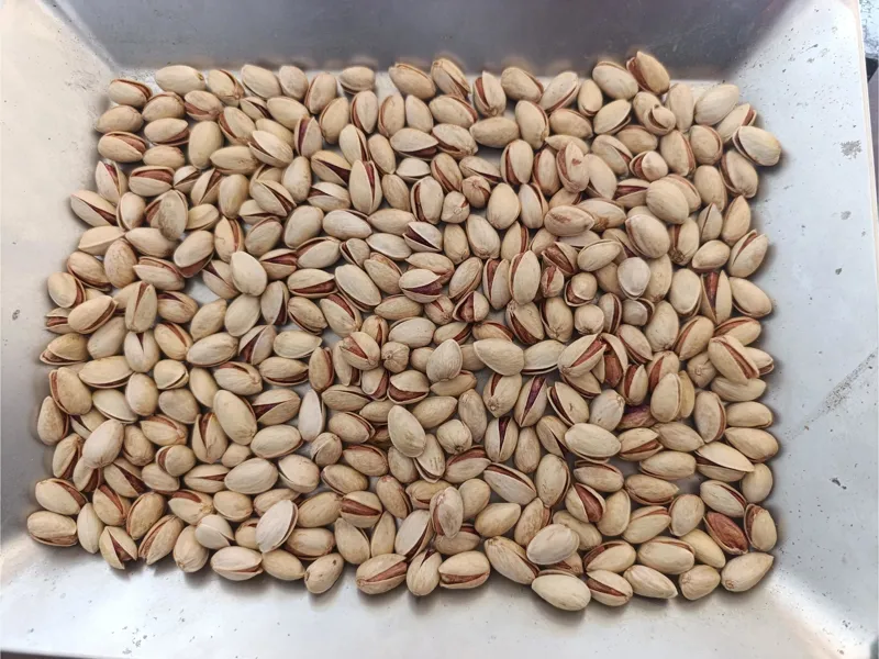 پسته اکبری ممتاز ایرانی + انتخابی شایسته برای بازارهای لوکس + قیمت و خرید عمده