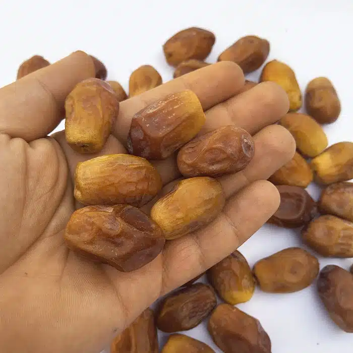 خرما زاهدی قصب طلایی از نخلستان‌های منتخب