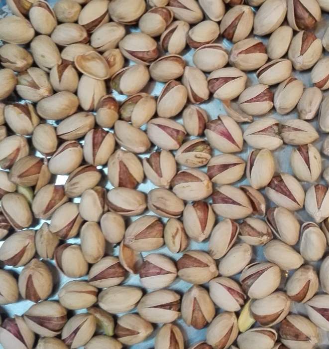 پسته فندقی برای تولید پودر پسته سبز و فراورده ها + قیمت و خرید عمده
