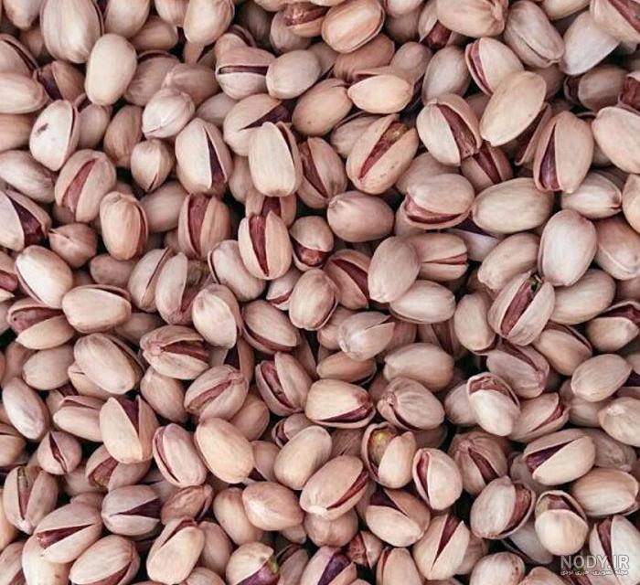 پسته کله قوچی برای بازارهای متقاضی دانه درشت + قیمت و خرید عمده